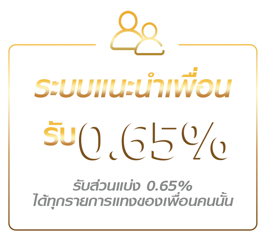bigggame ระบบแนะนำเพื่อน